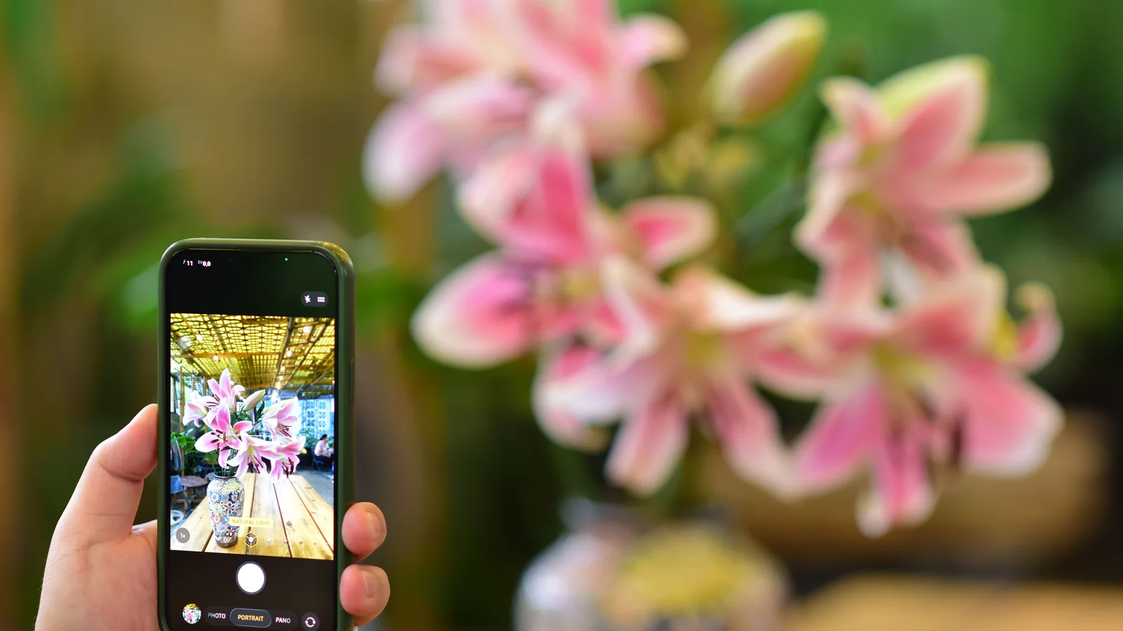Smartphone photographiant une fleur près d'une fenêtre